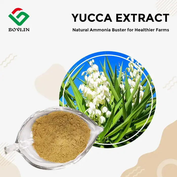 Yucca Root Extract